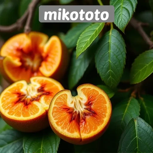 Pendapat Pengguna tentang Fitur Unggulan Mikototo